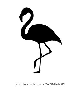 Ilustración plana de Vector de icono de silueta de flamenco sobre fondo blanco.