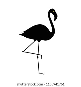 flamingo silhouette isolated on white background vector illustration EPS10