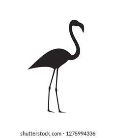 Flamingo silhouette. Isolated flamingo on white background