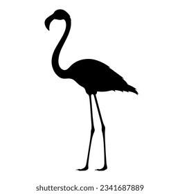 La silueta de Flamingo aislada. Ilustración del vector