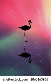 Flamingo silhouette at night. Bird reflected in water. Aurora borealis