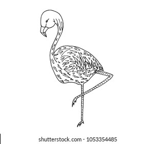 Flamingo silhouette on white background. hand drawn vector Illustration.