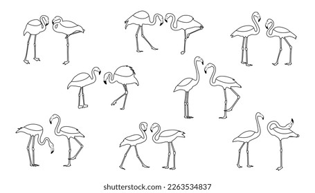 Flamingo silhouette set. Black outline style. Isolated vector. Elegant flamingo family