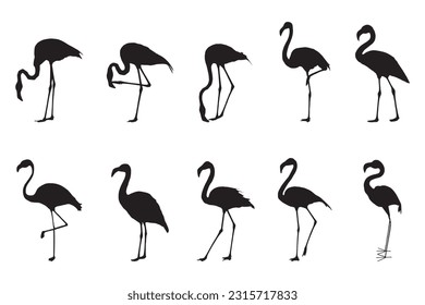 flamingo silhouette set collection isolated black on white background vector illustration
