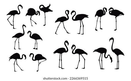 Flamingo silhouette set Isolated vector Elegant flamingo family