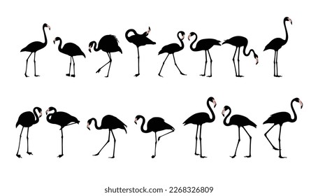 Flamingo silhouette set Isolated vector Elegant flamingo family