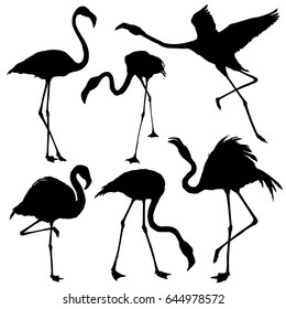 Flamingo silhouette set. Vector illustration