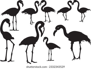 Flamingo silhouette set in white background