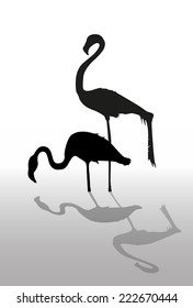 the Flamingo silhouette vector