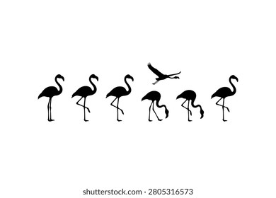 Flamingo Silhouette Vector Collection Set