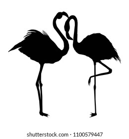 Flamingo silhouette , vector file of bird, illustration