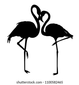 Flamingo silhouette , vector file of bird, illustration