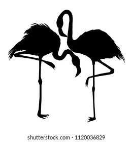 Flamingo silhouette , vector file of bird, illustration