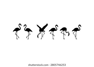 Flamingo Silhouette Vector Icon Collection Set