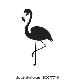 Flamingo silhouette, vector, illustration
