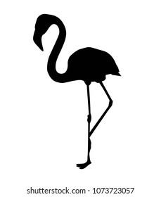 flamingo silhouette vector illustration