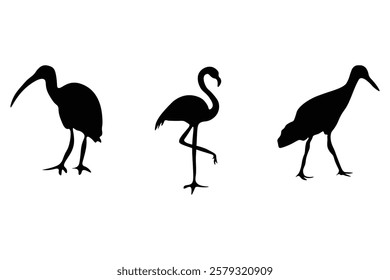 Flamingo silhouette with vector illustration