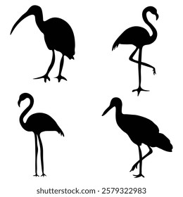Flamingo silhouette with vector illustration