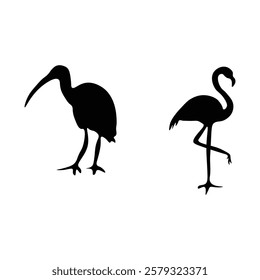 Flamingo silhouette with vector illustration