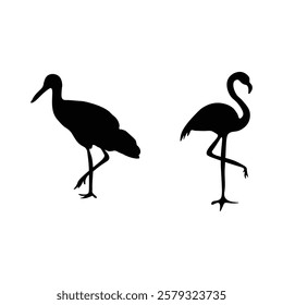 Flamingo silhouette with vector illustration