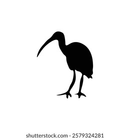 Flamingo silhouette with vector illustration