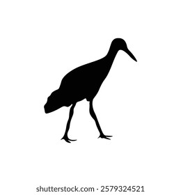 Flamingo silhouette with vector illustration