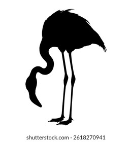 silhueta flamingo - ilustração vetorial