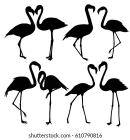 Flamingo silhouette, vector, illustration