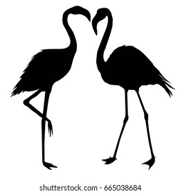 Flamingo silhouette, vector, illustration