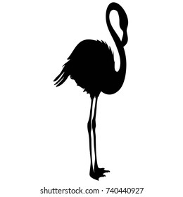 Flamingo silhouette, vector, illustration