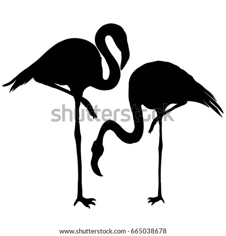 black and white flamingo silhouette
