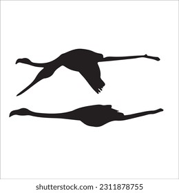Flamingo Silhouette Vector Illustration, Flamingo silhouettes set isolated on white 