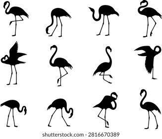Flamingo silhouette vector set, tropical bird poses, standing, flying, wading flamingos, exotic wildlife, perfect for summer, beach, nature, and travel designs