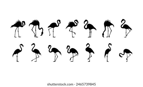 Flamingo silhouettes set black vector illustration. Animal wildlife symbol and cartoon art tropical bird. Cut out collection exotic sign sketch isolated white background