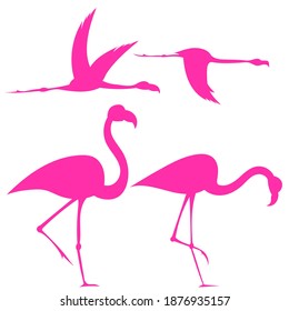 flamingo silhouettes set, vector illustration