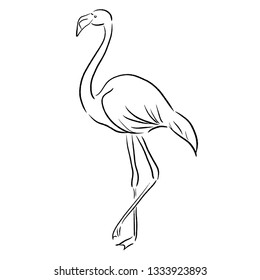 flamingo sketch one line draw vector illustration
