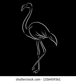 flamingo sketch one line draw vector illustration