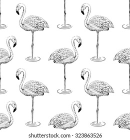 Flamingo sketch seamless pattern, vector illustration.