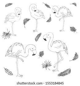 Flamingo sketch and silhouettes set isolated on white - vector illustration