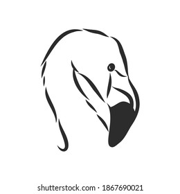 Flamingo sketch vector illustration. Flamingo vector sketch illustration
