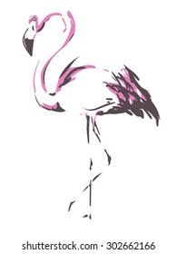 flamingo sketch vector illustration