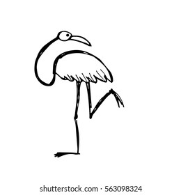 Flamingo, sketch for your design