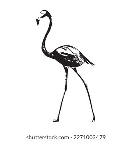 Flamingo-Skizze, Vektorgrafik