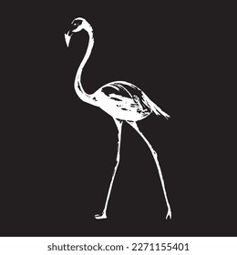 flamingo sketching drawing vector illustration
