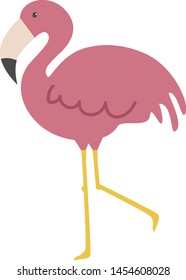 Flamingo em pé, ilustração, vetor sobre fundo branco.