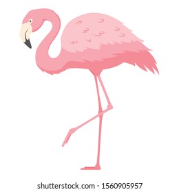 Flamingo standing on one leg flat vector illustration. Exotic bird with pink feathers isolated on white background. Beautiful animal with bright plumage and curved neck side view. Wildlife, zoo