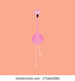 Flamingo standing on one leg