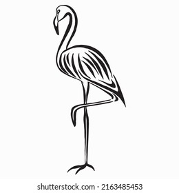 Flamingo, sketch, vector, ilustración. Dibujo de silueta en blanco y negro. Imagen caligráfica.