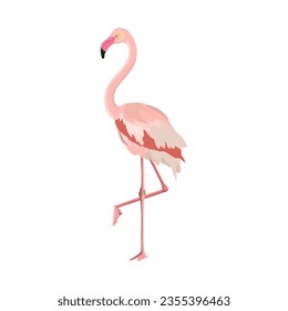 Flamingo de pie sobre una pierna. Ilustración vectorial aislada en fondo blanco.