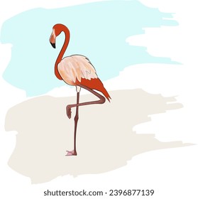 Flamingo standing on one leg vector illustration